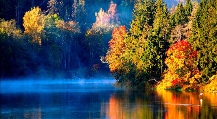 Способы победить осеннюю хандру