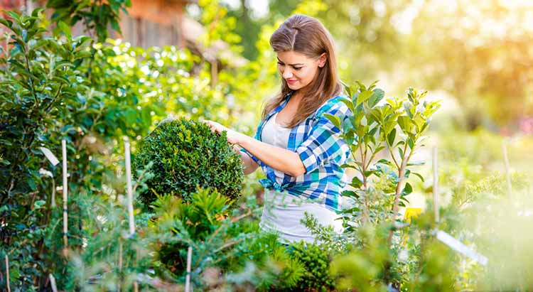 Как садоводство улучшает психическое равновесие?