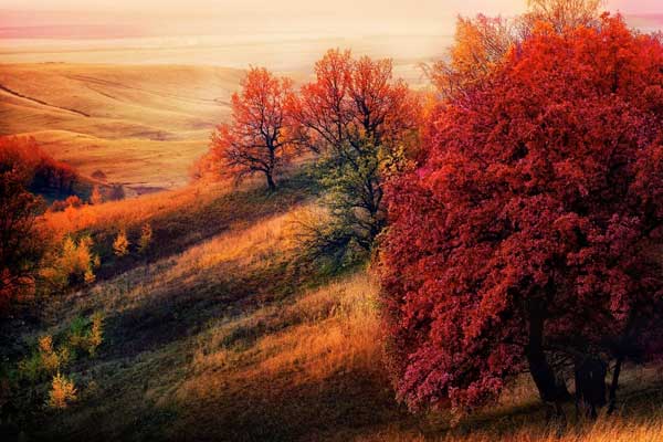 Осень самое прекрасное время года