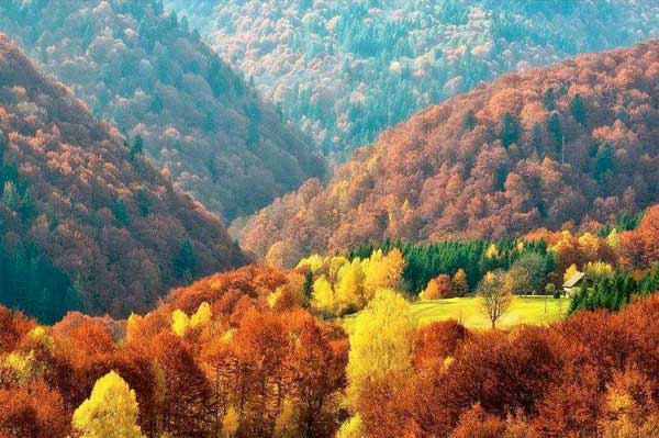 Осень самое прекрасное время года