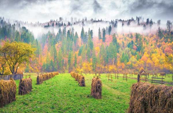 Осень самое прекрасное время года